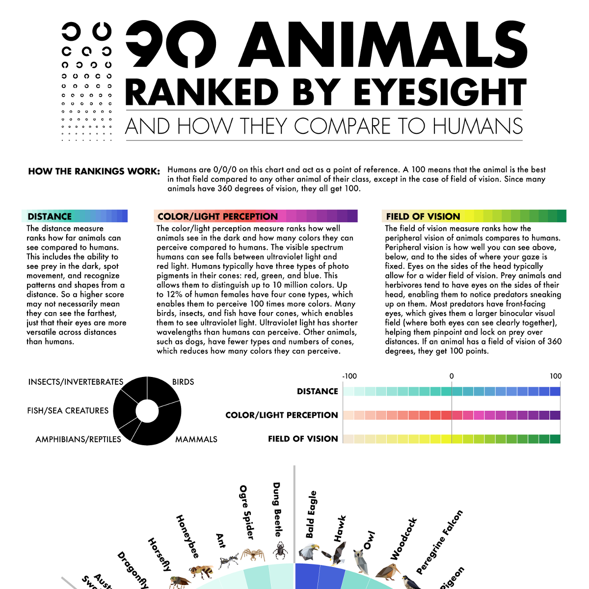 Eye different color and animal human